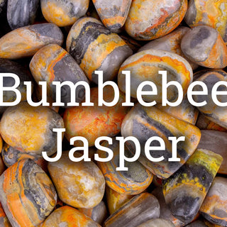 Bumblebee Jasper