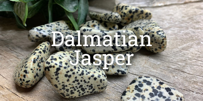 Dalmatian Jasper