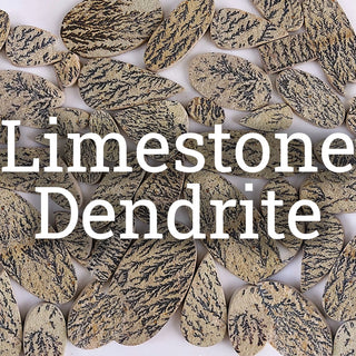 Limestone Dendrite