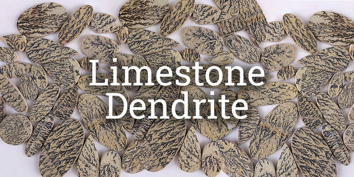 Limestone Dendrite