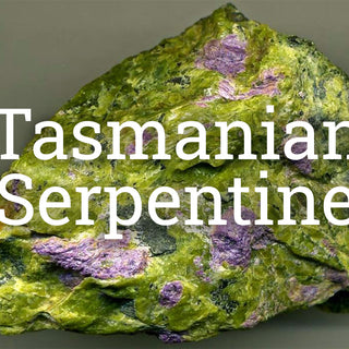 Tasmanian Serpentine