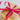 Gift wrap